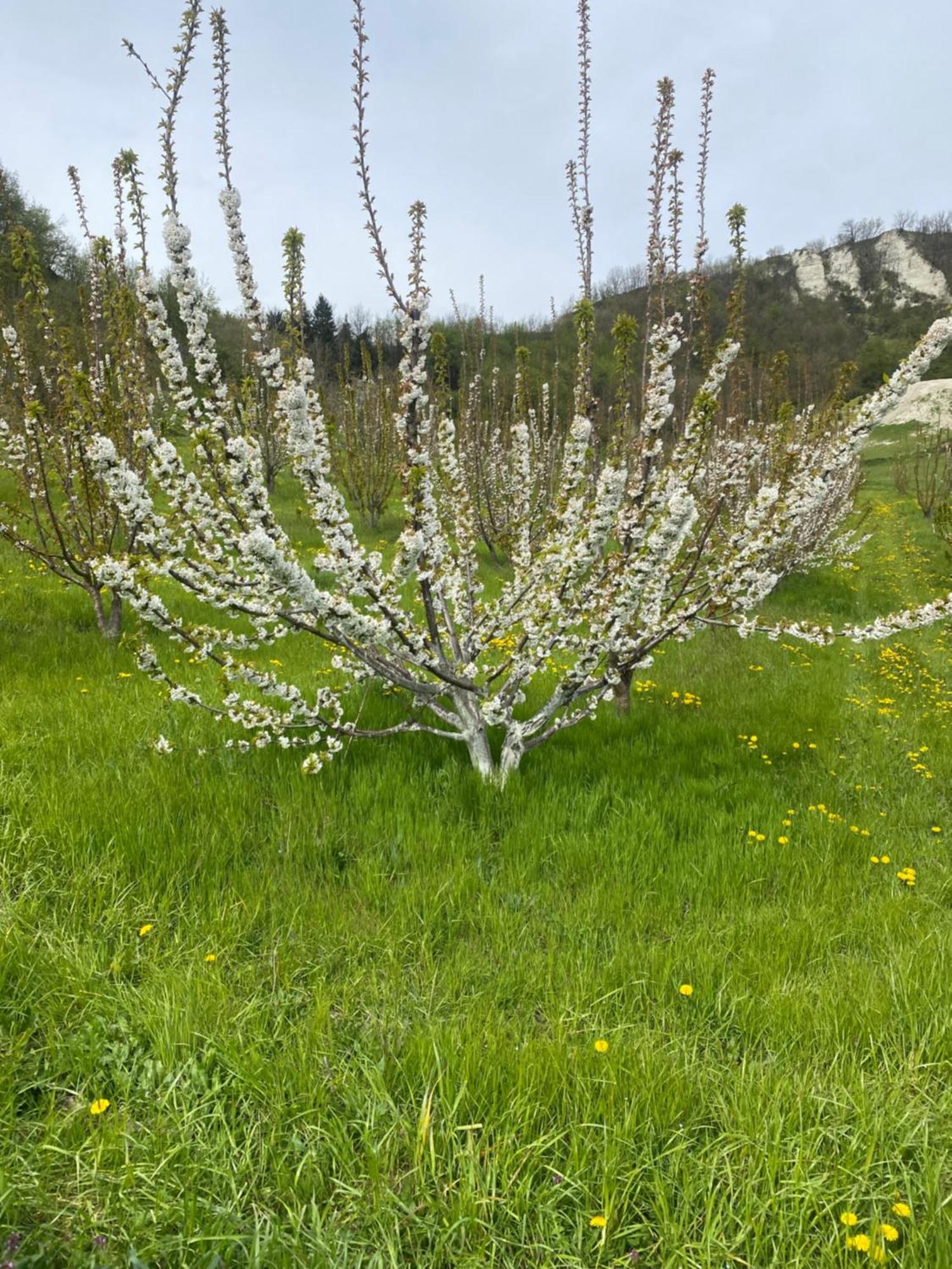 Jolie Petite Maison Chez Barbara Garbagna Εξωτερικό φωτογραφία